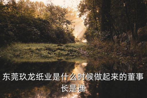 東莞榮興紙業老板，東莞玖龍紙業是什么時候做起來的董事長是誰