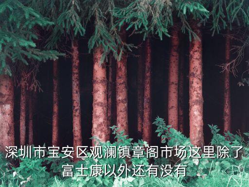深圳市寶安區觀瀾鎮章閣市場這里除了富士康以外還有沒有