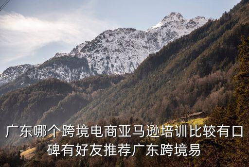 廣東哪個跨境電商亞馬遜培訓比較有口碑有好友推薦廣東跨境易