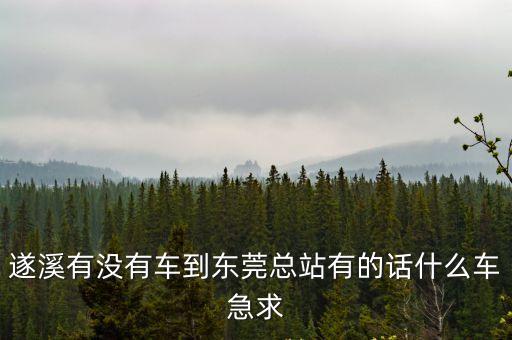 遂溪有沒有車到東莞總站有的話什么車急求