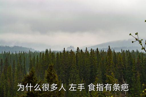 左手食指