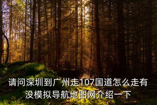 深圳107國(guó)道地鐵線路圖，求深圳地鐵線路圖