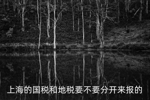 上海的國稅和地稅要不要分開來報的