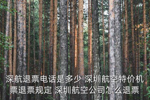 深圳航空補退政策，深圳航空特價機票退票