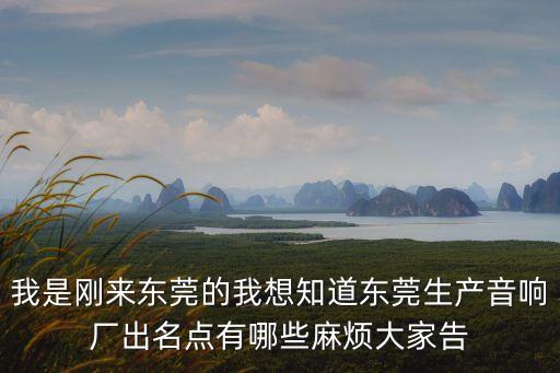 東莞充電藍牙音箱供應(yīng)商，我是剛來東莞的我想知道東莞生產(chǎn)音響廠出名點有哪些麻煩大家告