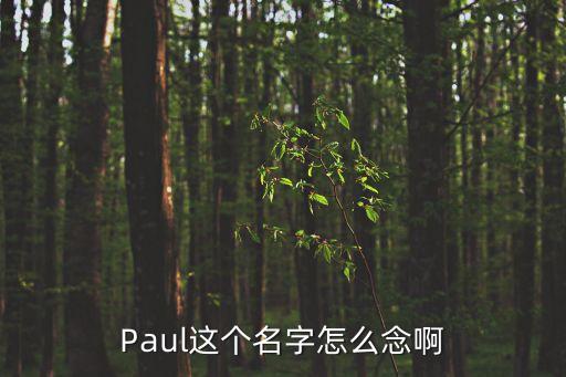 Paul這個名字怎么念啊