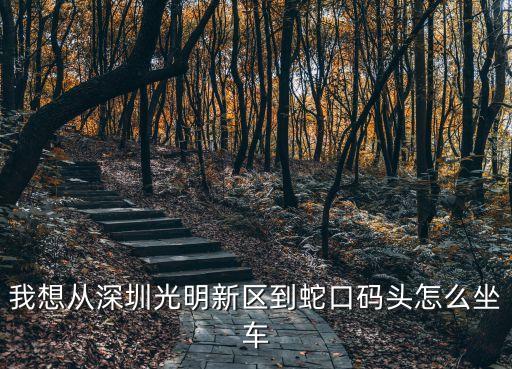 我想從深圳光明新區(qū)到蛇口碼頭怎么坐車