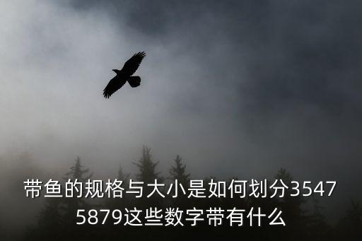 怎么燉羊排，我買(mǎi)了3斤羊排怎樣才能做出美味的羊湯