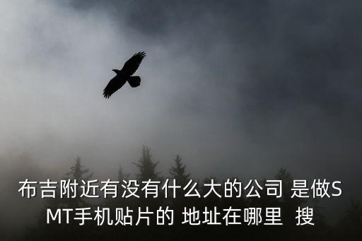 布吉附近有沒有什么大的公司 是做SMT手機貼片的 地址在哪里  搜