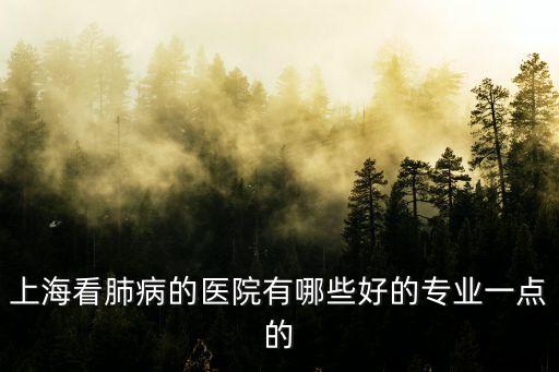 上海市肺部疾病的醫院好，上海看肺病的醫院有哪些好的專業一點的