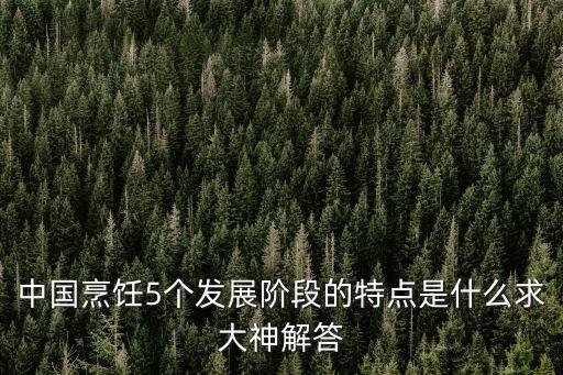 中國烹飪5個發展階段的特點是什么求大神解答