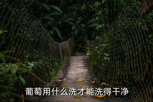  葡萄用什么洗才能洗得干凈