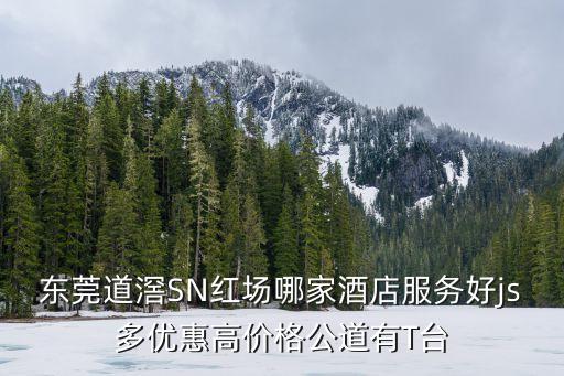 東莞道滘SN紅場哪家酒店服務好js多優惠高價格公道有T臺