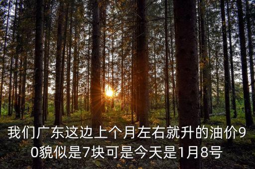 我們廣東這邊上個月左右就升的油價90貌似是7塊可是今天是1月8號