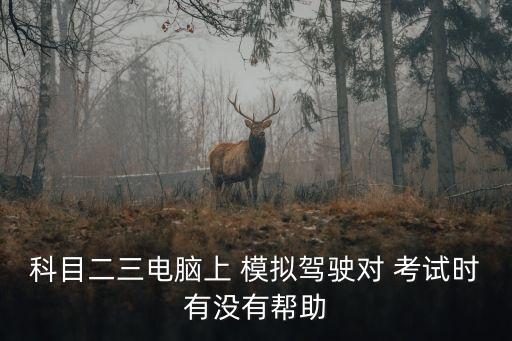 科目二三電腦上 模擬駕駛對 考試時有沒有幫助