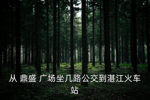 鼎盛廣場,湛江霞山鼎盛廣場