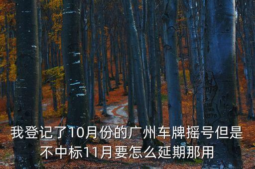 我登記了10月份的廣州車牌搖號但是不中標11月要怎么延期那用