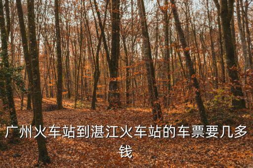 廣州站到湛江西，請問廣州到湛江怎么走