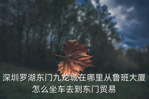 深圳老街九龍城怎么走，深圳東門九龍城具體在哪里