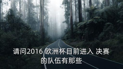 2016歐洲杯決賽,歐洲杯決賽是法國和葡萄牙進決賽