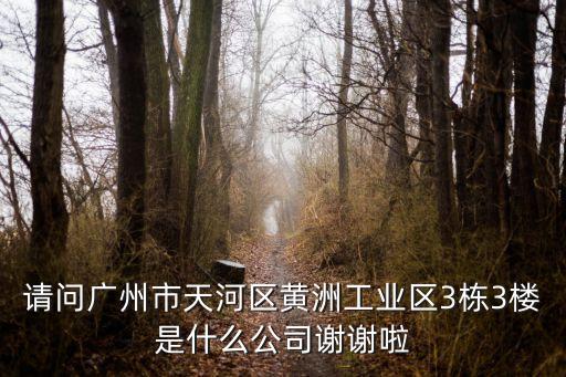 請問廣州市天河區黃洲工業區3棟3樓是什么公司謝謝啦