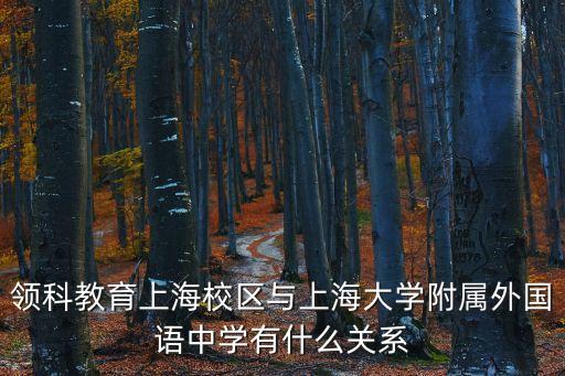 領科教育上海校區與上海大學附屬外國語中學有什么關系