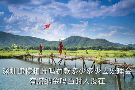 深圳抗疫期間違停，2011年2月15號在深圳羅湖醫院附近停車被拍用不用去交警大隊去扣
