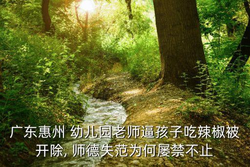 幼兒園師德案例