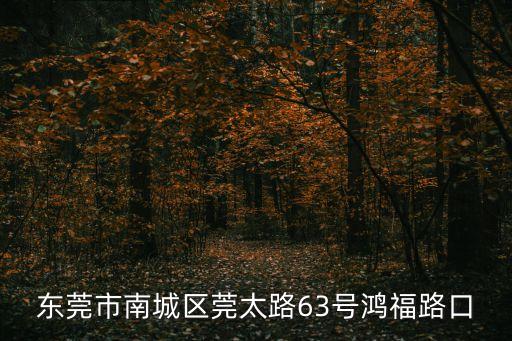 東莞市南城區莞太路63號鴻福路口