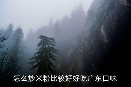 怎么炒米粉比較好好吃廣東口味