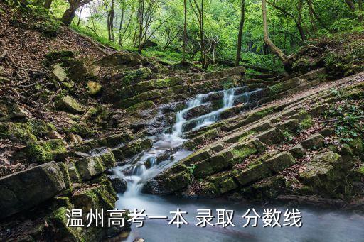 溫州大學錄取分數線,溫州大學藝術學專業考了550分