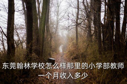 東莞翰林學校怎么樣那里的小學部教師一個月收入多少