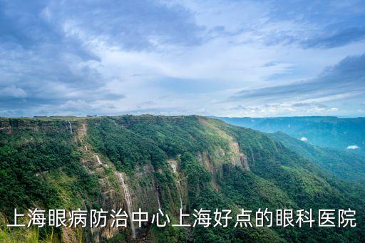 上海市眼病防治信息管理，上海眼病防治中心上海好點(diǎn)的眼科醫(yī)院