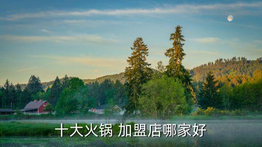 全國連鎖加盟店排名,中國十大干洗加盟店排行榜出爐!