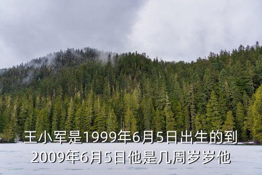 深圳美日高 王小軍，廣東省深圳市高新科技園南區高新南一道飛亞達高科技大廈510層 的公