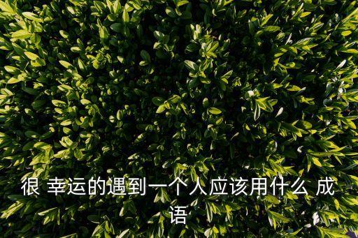 幸運的成語,四字成語解釋:象征好運和幸福的成語!