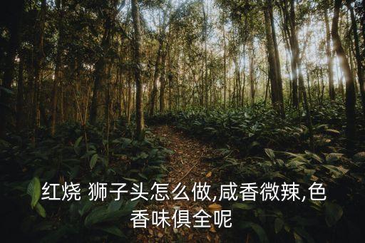 紅燒鐵獅子頭,賽西施做紅燒鐵獅子頭