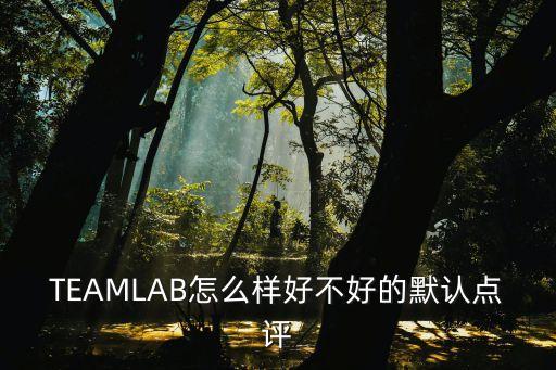 teamlab深圳展覽，TEAMLAB怎么樣好不好的默認點評