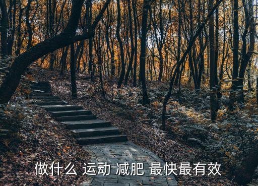 做什么 運動 減肥 最快最有效