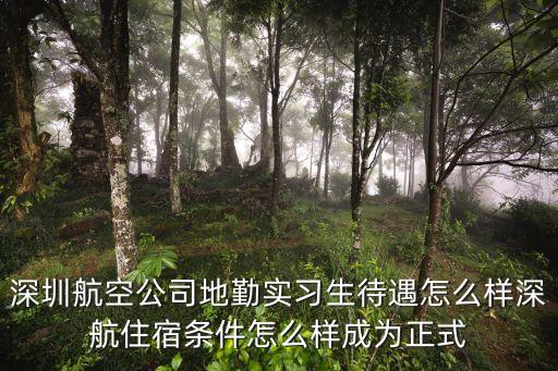 深圳航空公司地勤實習生待遇怎么樣深航住宿條件怎么樣成為正式