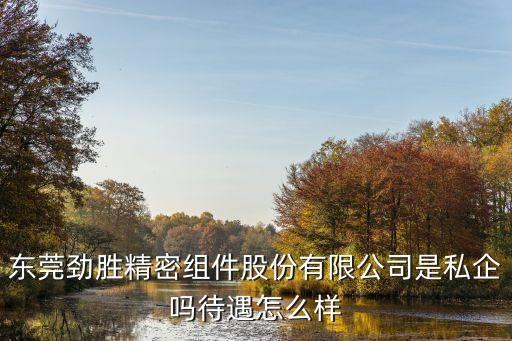 東莞勁勝精密組件股份有限公司是私企嗎待遇怎么樣