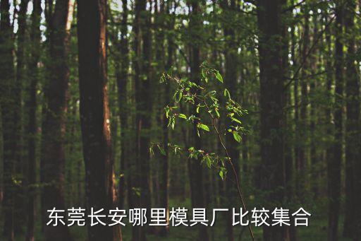 東莞長安哪里模具廠比較集合