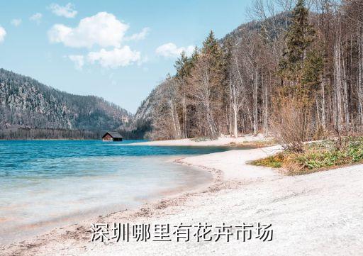 深圳哪里有花卉市場
