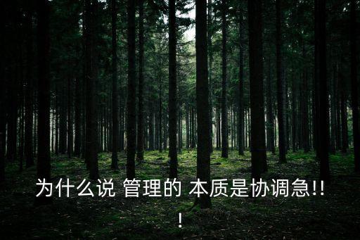 為什么說 管理的 本質是協(xié)調急!!!