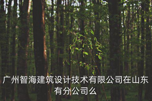 廣州智海南寧分公司，廣州智海建筑設計技術有限公司在山東有分公司么