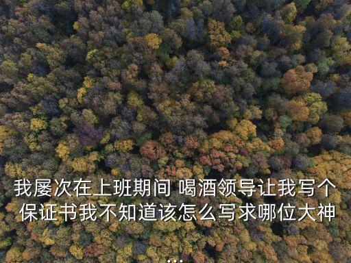我屢次在上班期間 喝酒領導讓我寫個 保證書我不知道該怎么寫求哪位大神...