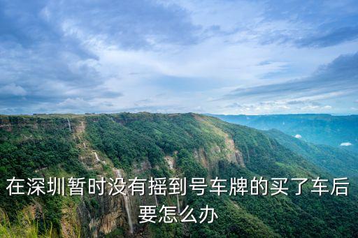 在深圳暫時沒有搖到號車牌的買了車后要怎么辦