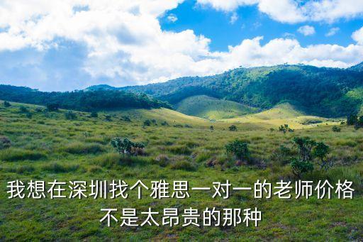 我想在深圳找個雅思一對一的老師價格不是太昂貴的那種