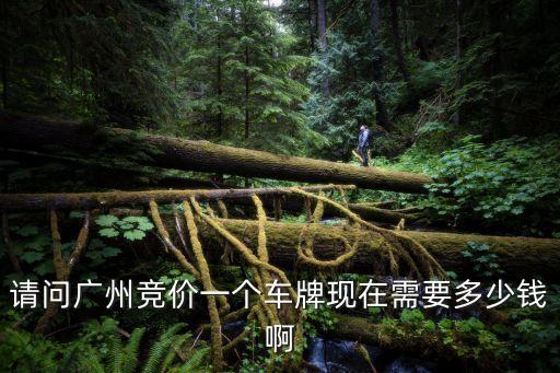 請問廣州競價一個車牌現在需要多少錢啊