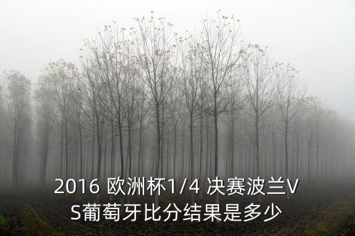 2016 歐洲杯1/4 決賽波蘭VS葡萄牙比分結果是多少